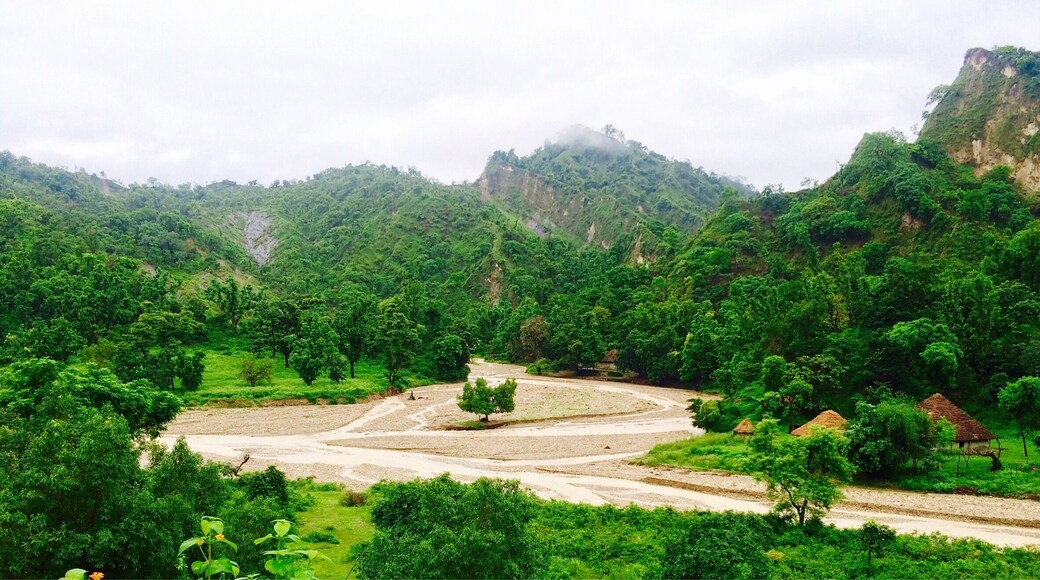 Timli forest range in the foot hills of Shivalik in Dehradun district of Uttarakhand.