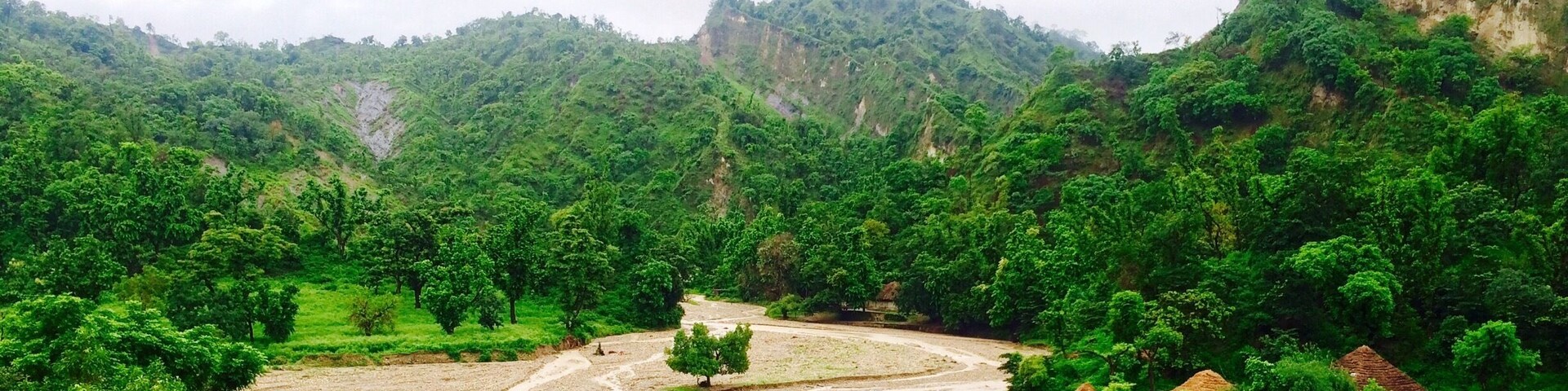 Timli forest range in the foot hills of Shivalik in Dehradun district of Uttarakhand.