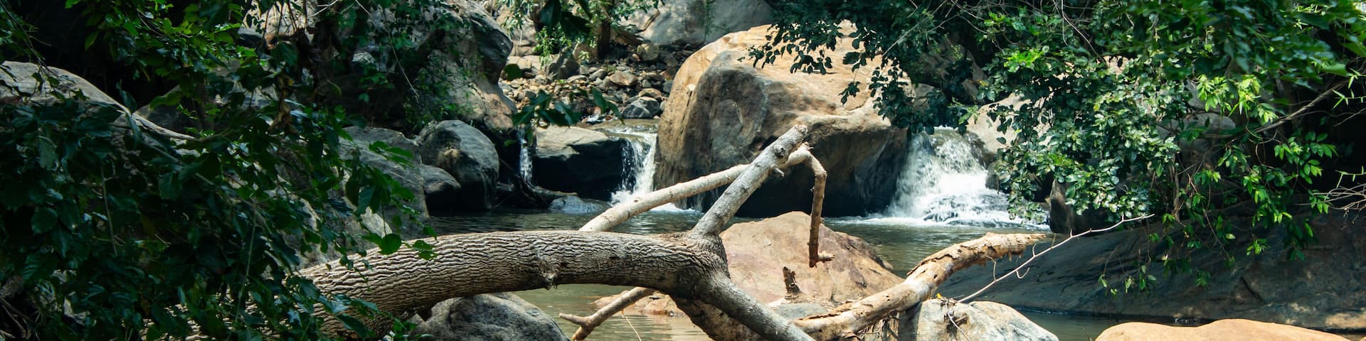 Water stream from the Aanaivaari Muttal Waterfalls located in Kalvarayan Hills near Attur, Salem district, India.