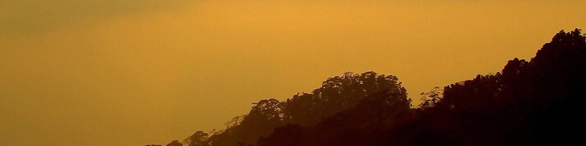 The warm hues of a splendid sunset on the spectacular Radhanagar beach of Havelock Island, Andaman, India. #beach #Goldenhour