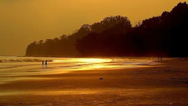 A beach at sunset with silhouettes of people walking and a tree line in the background.