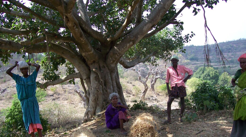 Hard working village people taking a rest in the shade.