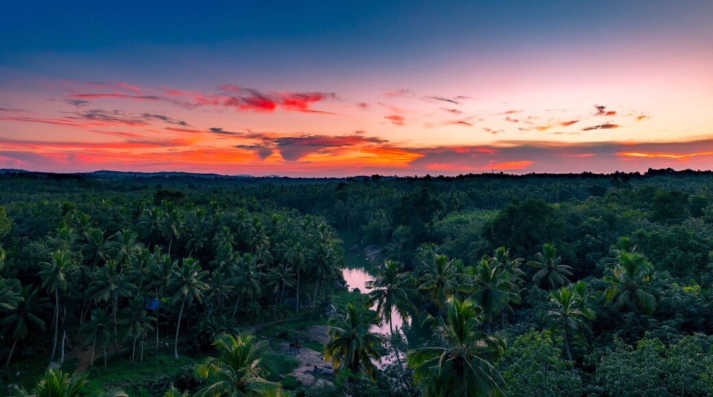 Greenery Landscapes view from the top of Mathur Aqueduct, Kanyakumari, Tamil Nadu. India.