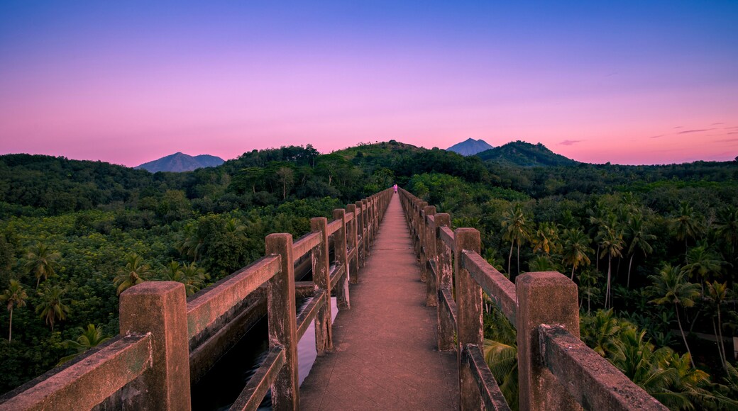 Greenery Landscapes view from the top of Mathur Aqueduct, Kanyakumari, Tamil Nadu. India.