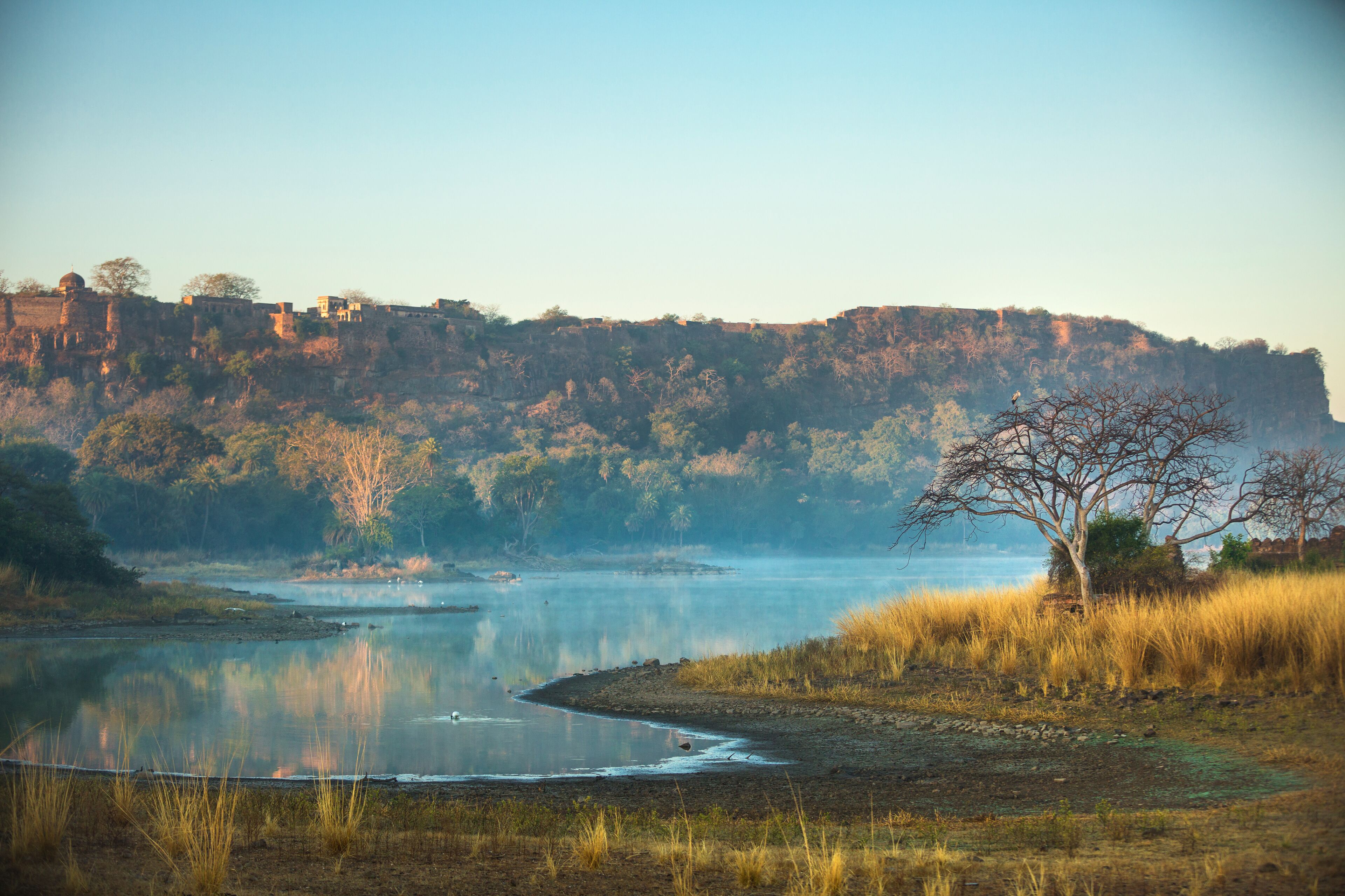 Ranthambore National Park, Rajasthan, India