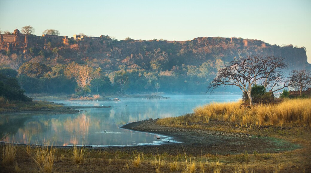 Ranthambore National Park, Rajasthan, India