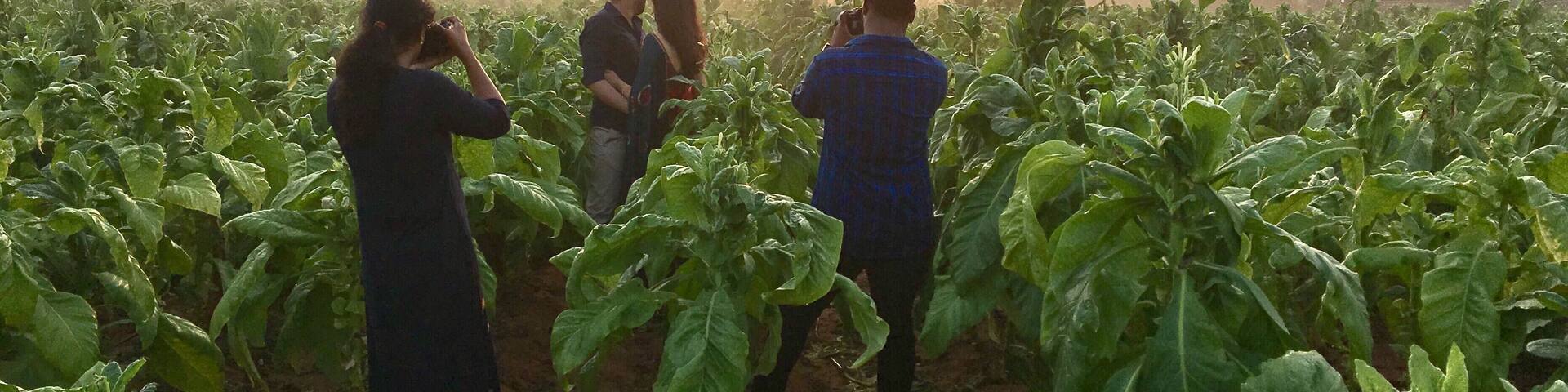 Beautiful Mandalapalli