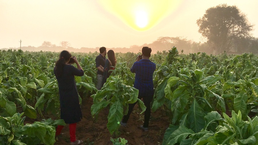Beautiful Mandalapalli