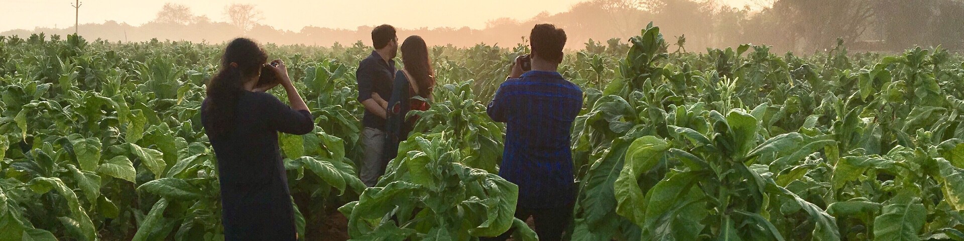 Beautiful Mandalapalli