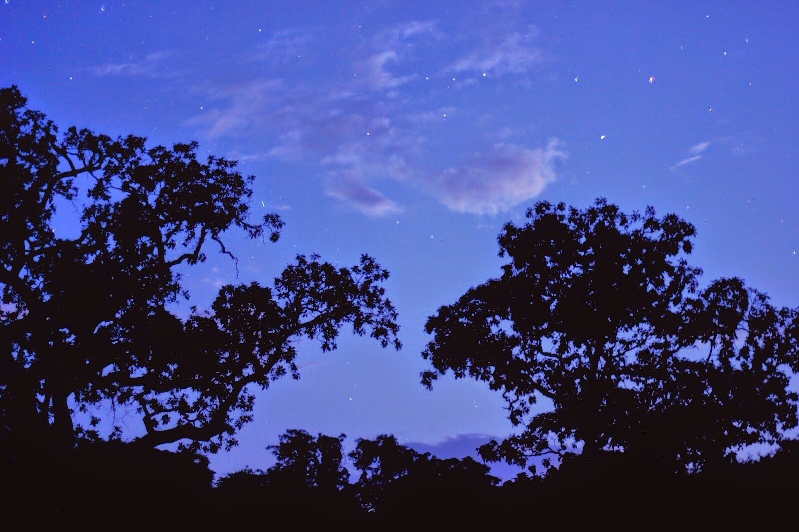 #astrography #astrophotography #startysky #night #stars