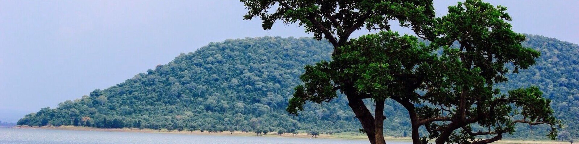 Pakhal lake is a paradise for bird lovers. If you are in Hyderabad and if you are looking for a refreshing weekend getaway then you can plan a trip to this place.. It is in Warangal district, Telangana. It is about 180kms from Hyderabad and is well connected by road passing through Narsampet which is about 12kms away from the lake.. #waterlust