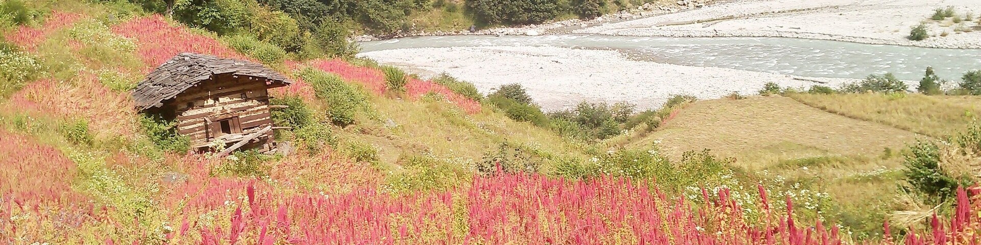 View at the start of trekking from Taluka.