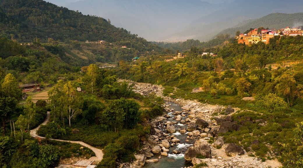 Mountain stream flowing between mountains