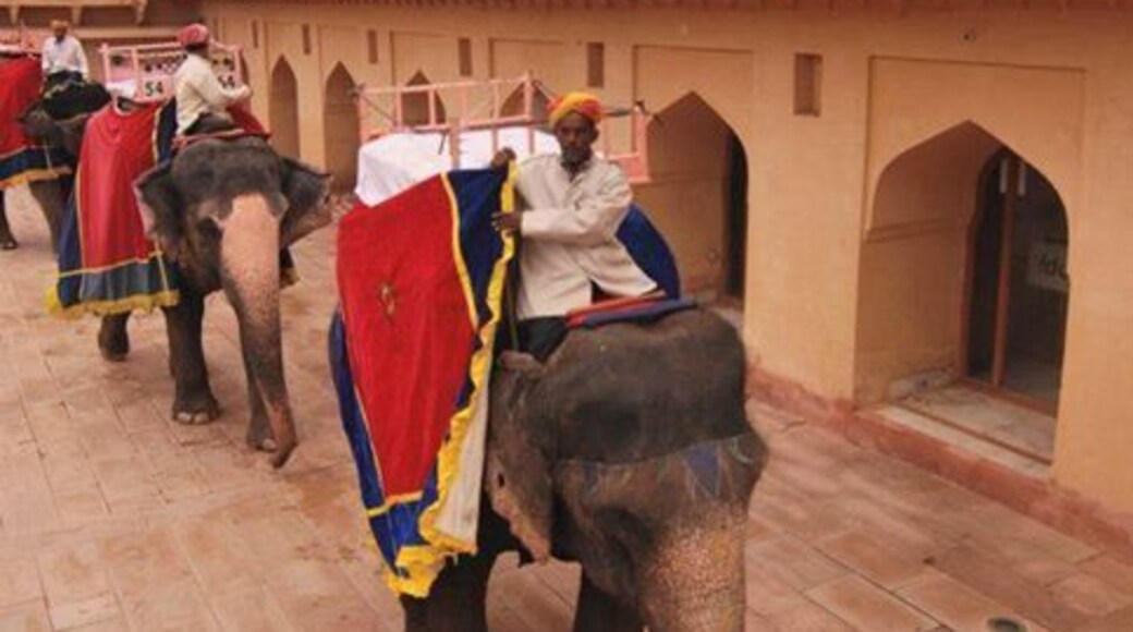 Des éléphants, montés par des cavaliers vêtus de costumes traditionnels, défilent dans un couloir bordé d’une architecture richement décorée.