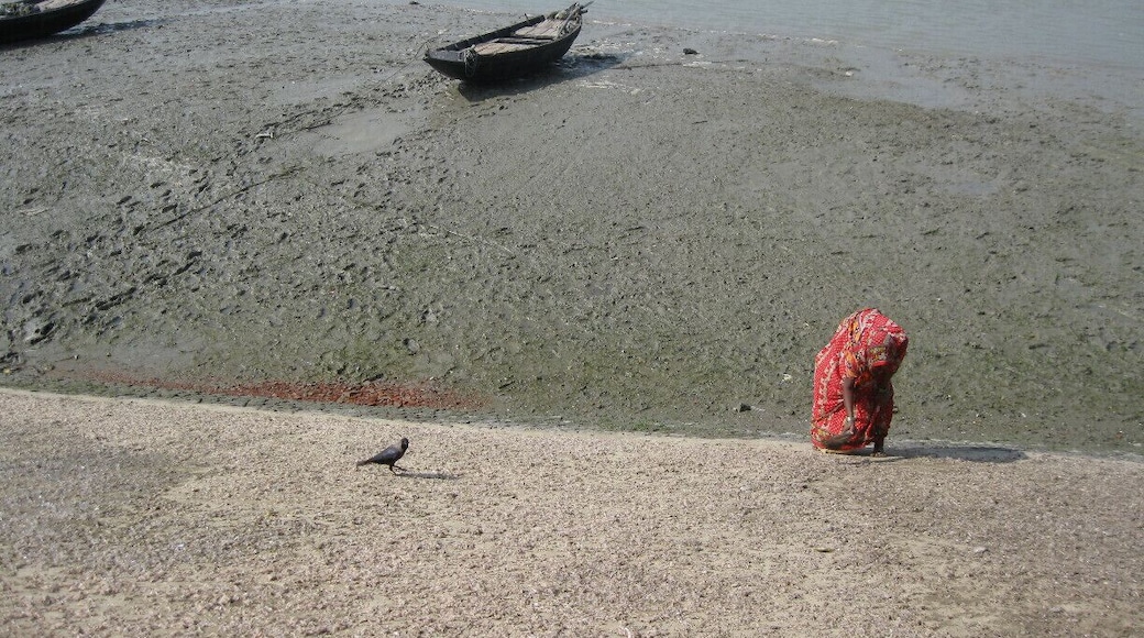 While waiting for a ferry boat to arrive to take us to the other side, I watched this woman work hunched-over for more than an hour. She is using the hand-broom to turn the shrimp over so they dry in the sun.