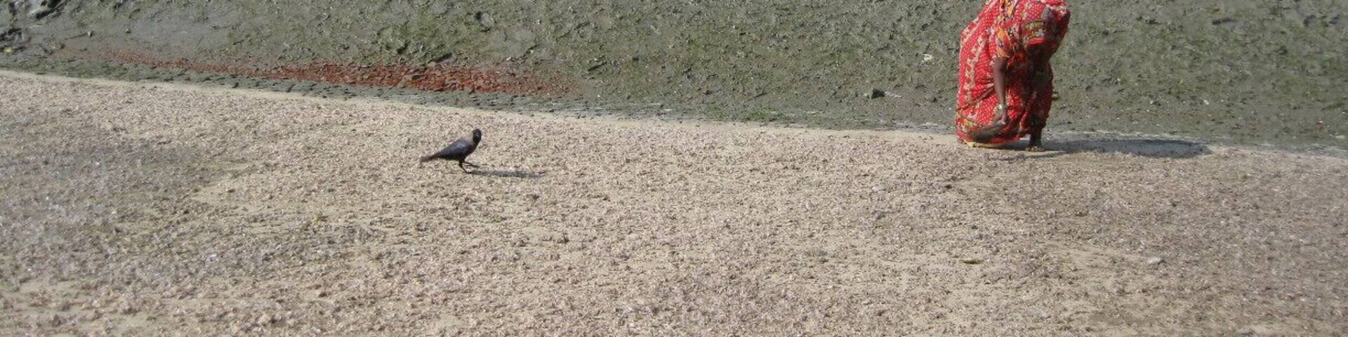 While waiting for a ferry boat to arrive to take us to the other side, I watched this woman work hunched-over for more than an hour. She is using the hand-broom to turn the shrimp over so they dry in the sun.