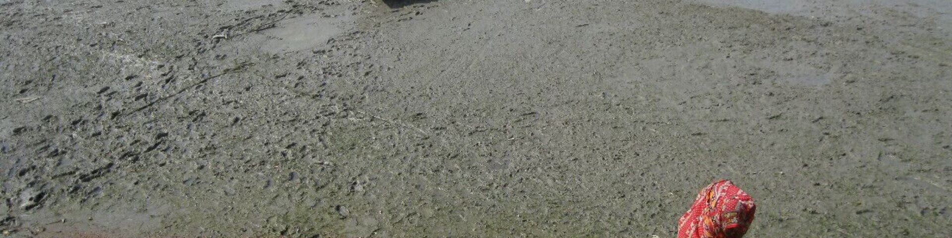 While waiting for a ferry boat to arrive to take us to the other side, I watched this woman work hunched-over for more than an hour. She is using the hand-broom to turn the shrimp over so they dry in the sun.
