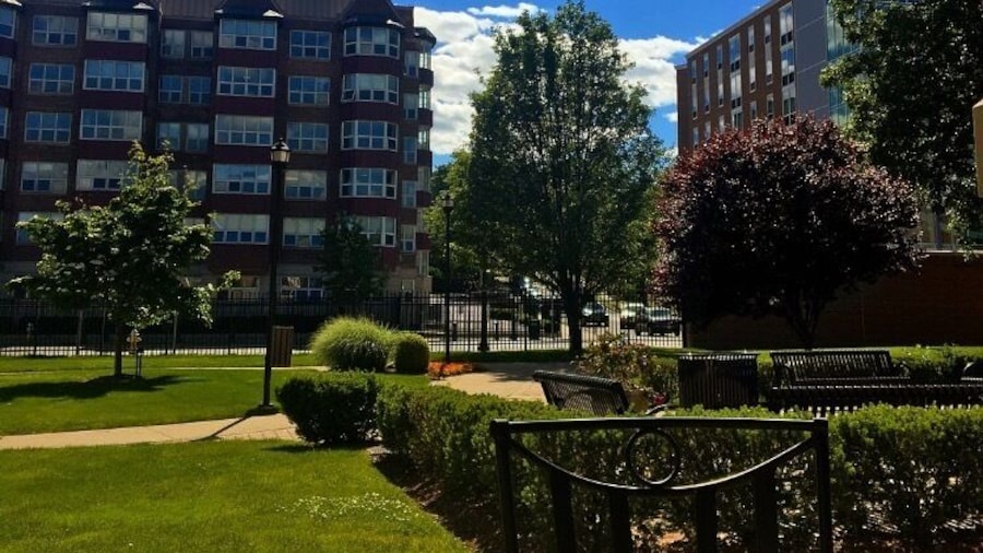 Always hard to study with a view like this