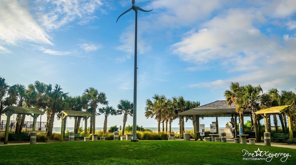 Beautiful park to relax and play chess