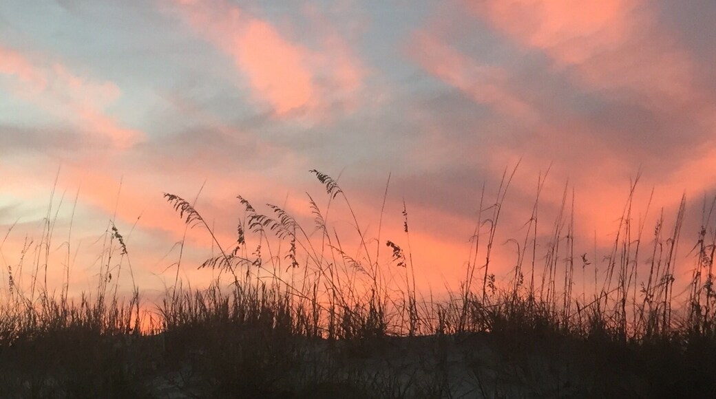 East Coast sunsets don't happen over the ocean, but they are still a sight to behold. This particular sunset created a beautiful silhouette of the dune grasses 🌱🌞🌾