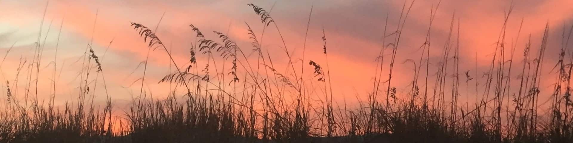 East Coast sunsets don't happen over the ocean, but they are still a sight to behold. This particular sunset created a beautiful silhouette of the dune grasses 🌱🌞🌾