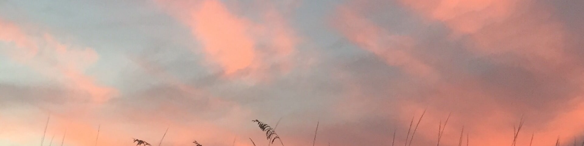 East Coast sunsets don't happen over the ocean, but they are still a sight to behold. This particular sunset created a beautiful silhouette of the dune grasses 🌱🌞🌾