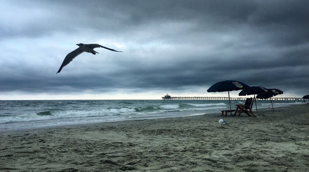 Even a rainy day at the beach is a good day.