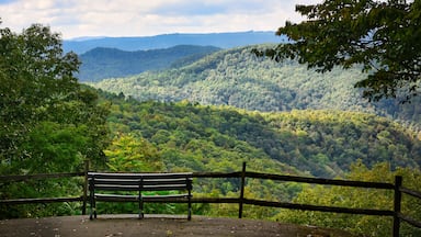 A park bench at a beautiful mountain overlook in West Virginia, USA.