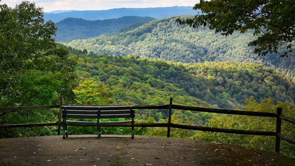 A bench overlooking a forested mountain range.