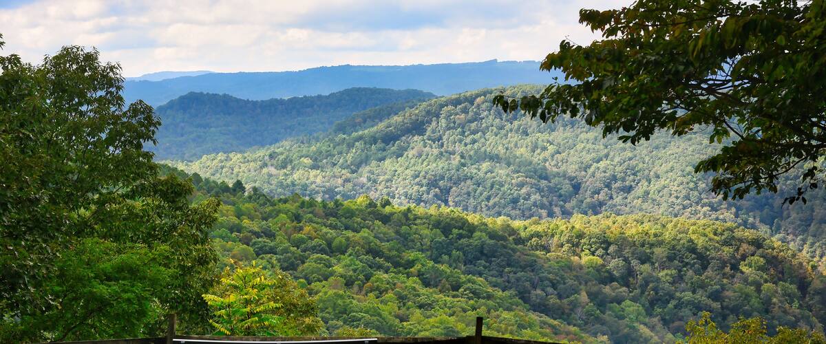 A bench overlooking a forested mountain range.