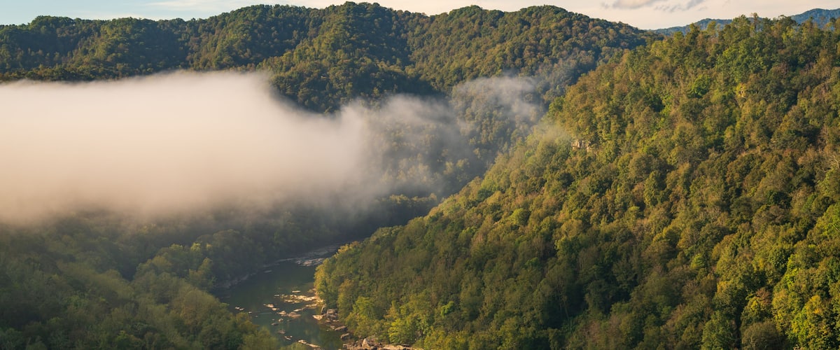 A river winding through a forested valley with a road curving alongside it.