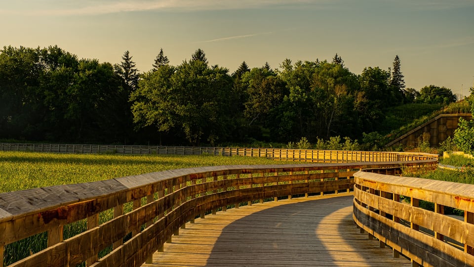 beautiful morning at Rogers Reservoir Conservation Area East Gwillimbury Ontario Canada with grasses, trees, fog, bridge, and river