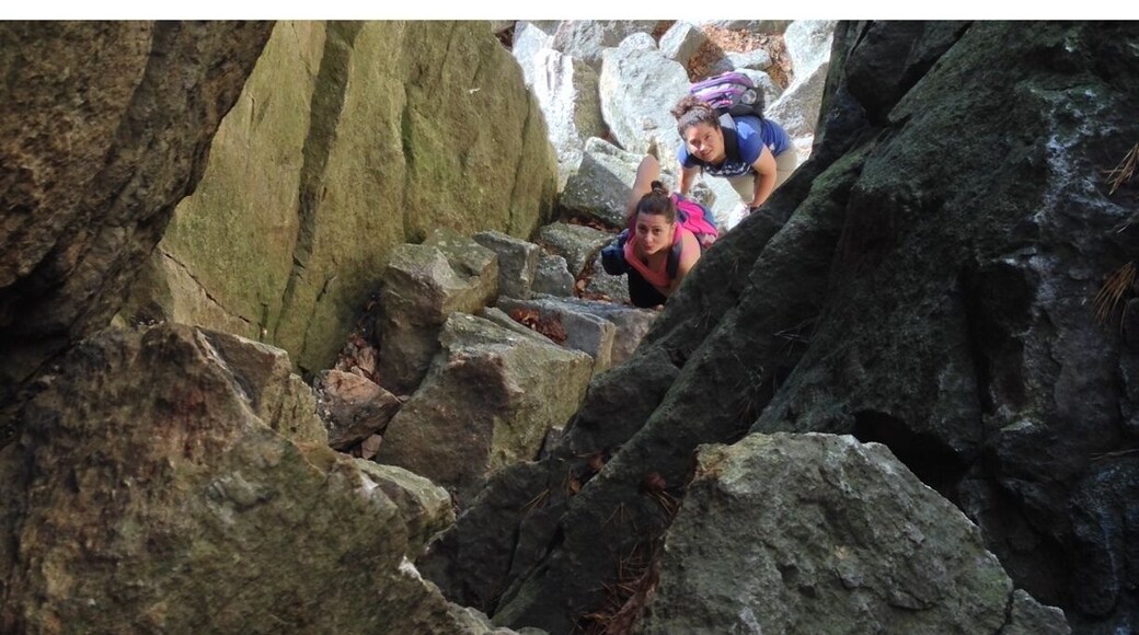 Up and up and up and..