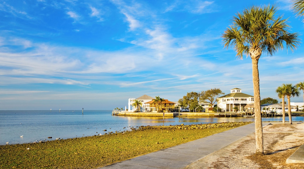 Photo of waterfront with palm trees and homes in Hudson, near New Port Richey, Florida, USA.