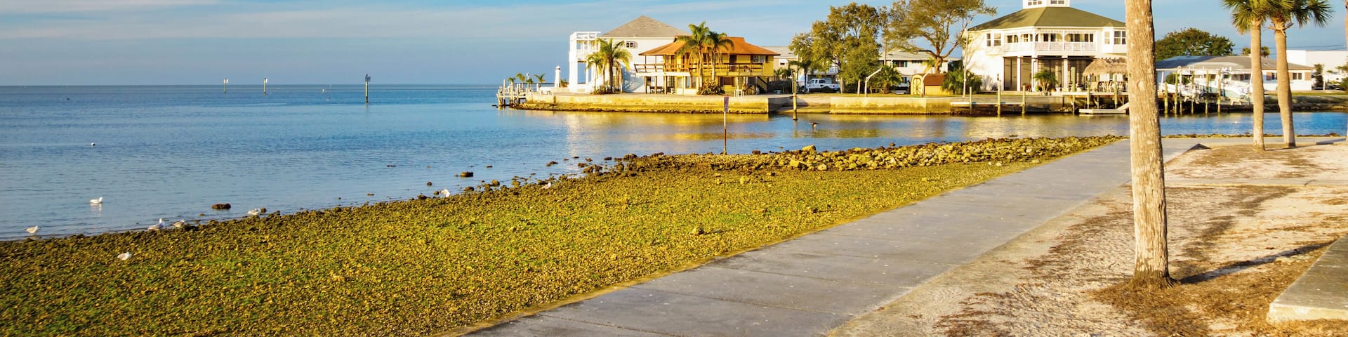 Photo of waterfront with palm trees and homes in Hudson, near New Port Richey, Florida, USA.