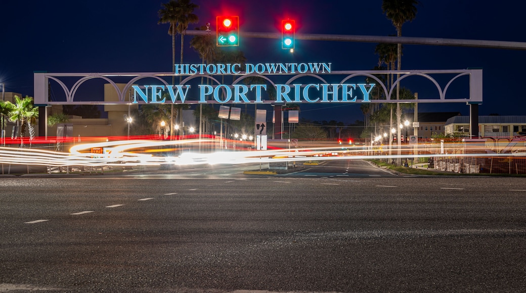 new port richey