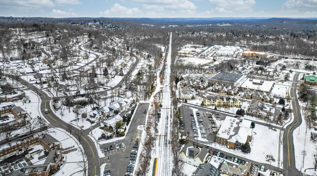 نيوبروفيدنس