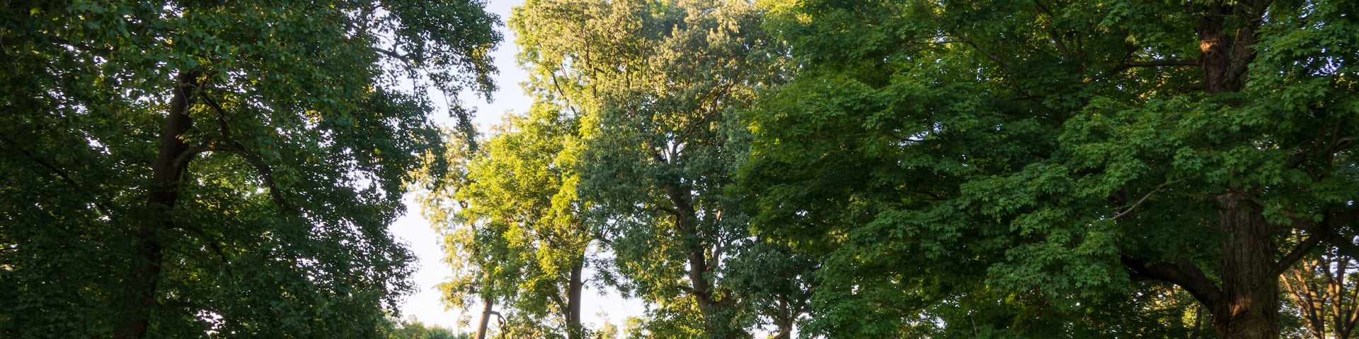 Newark Earthworks in Heath Ohio