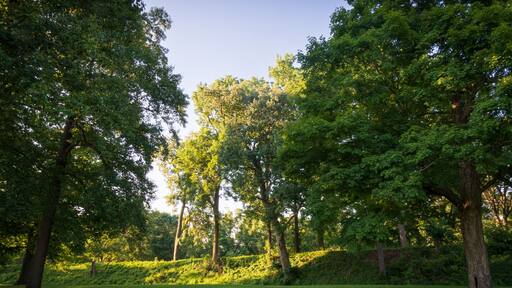 Newark Earthworks in Heath Ohio