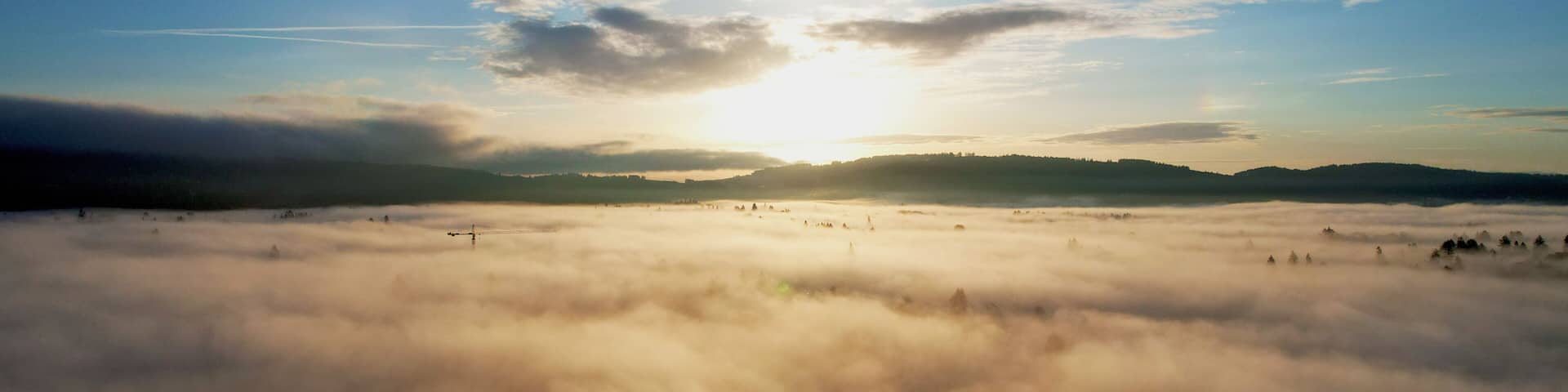 Oregon Fog