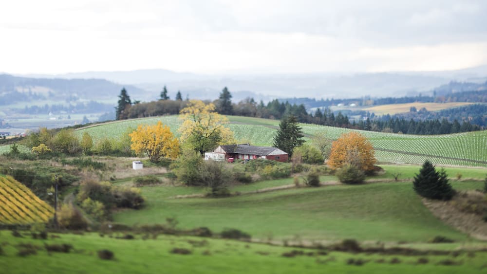 Tilt Shifted Farm Land