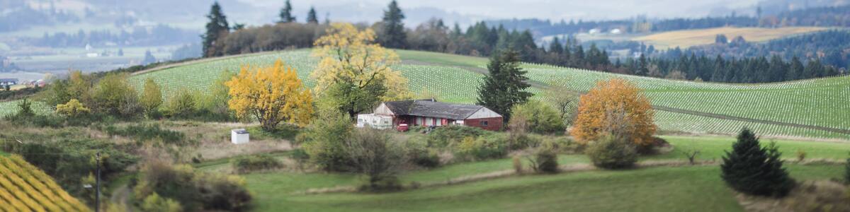 Tilt Shifted Farm Land