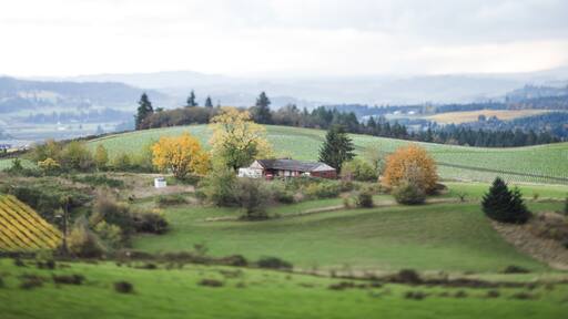 Tilt Shifted Farm Land