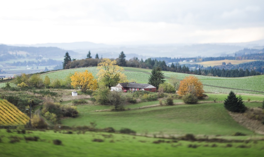 Tilt Shifted Farm Land