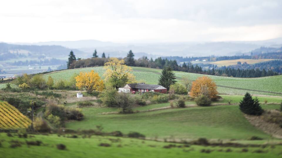 A rural landscape with rolling hills, a small red barn, and fields of crops.