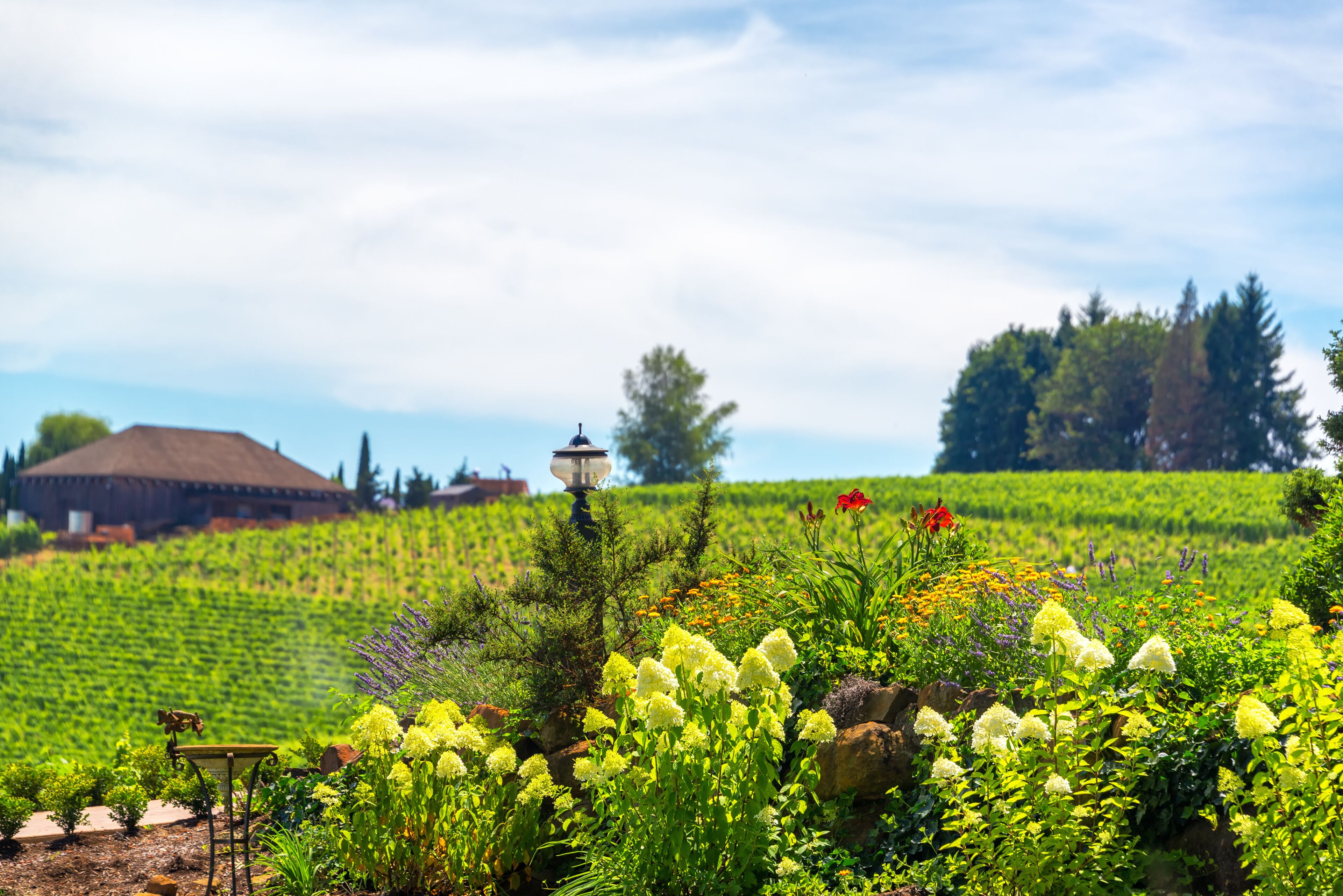 Flowers in Oregon Wine Country