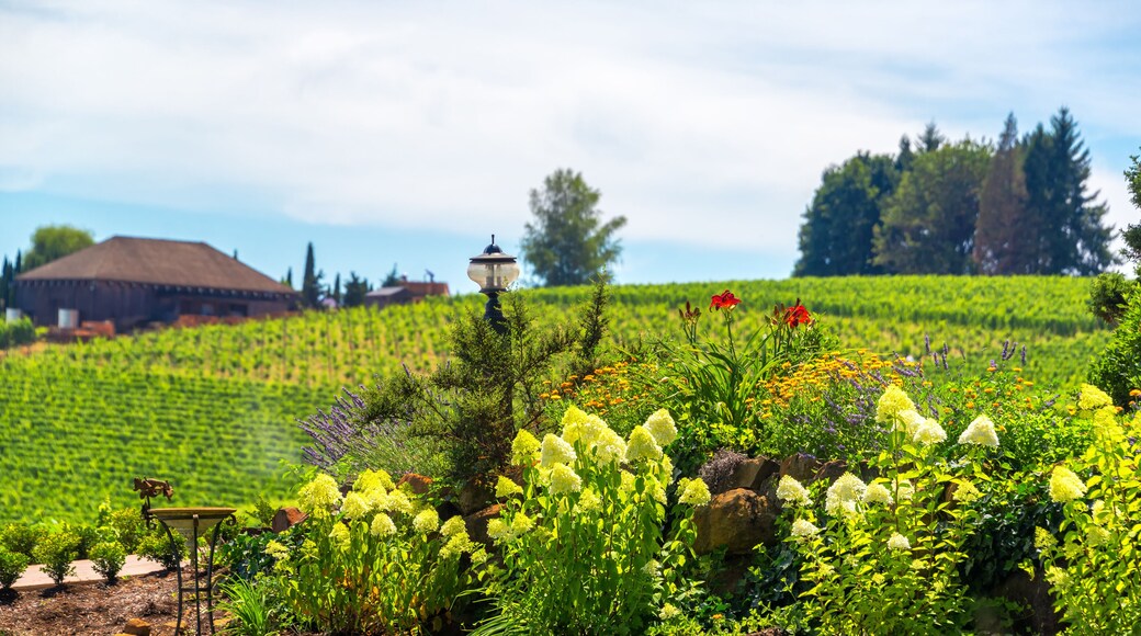 Flowers in Oregon Wine Country