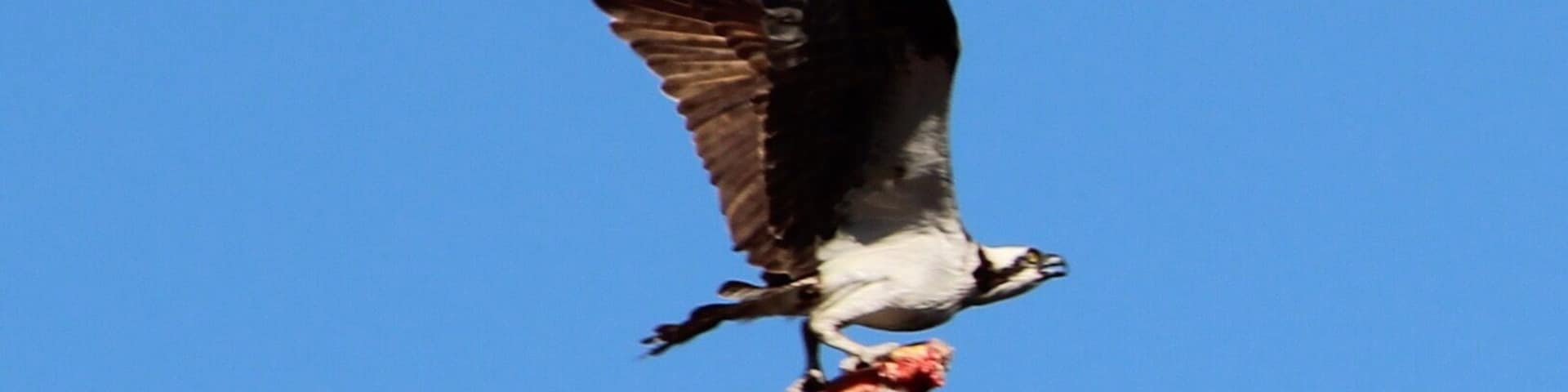 In between shooting sports shots (competitive softball) I looked up and captured this!!