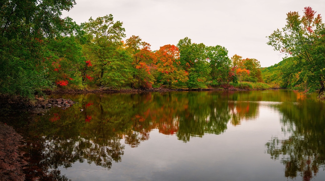 Panoramic stunning photo of autumn foliage reflected on the river with a glass-like mirror water surface. Beautiful autumn woods with clean calm water of Mill River in New Haven, Connecticut.