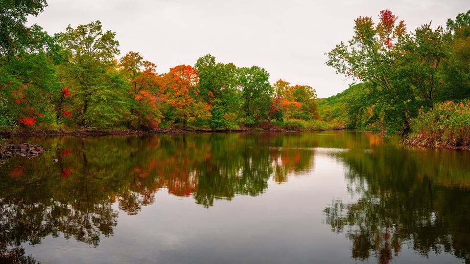 A calm river reflecting trees with green and red foliage.